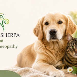 Pet Homeopathy Initial Email Review & Remedy Recommendation